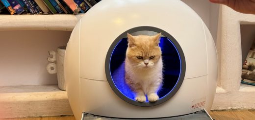 Die selbstreinigende Katzentoilette von AmiCura macht das Leben einfacher