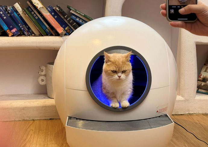 Die intelligente Katzentoilette von Amicura mit automatischen Sensortüren kommt bald auf den Markt und eliminiert das Risiko, Katzen einzuklemmen, vollständig