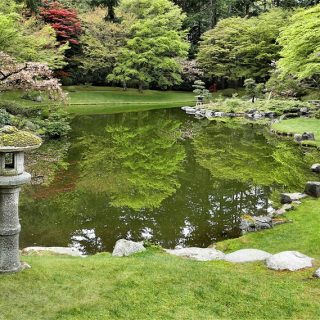 Einen wunderschönen japanischen Garten anlegen
