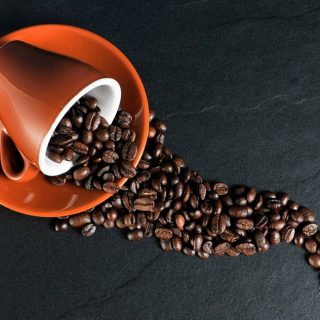 Filter, Pad oder Vollautomat? Welche Kaffeemaschine ist für mich am besten?