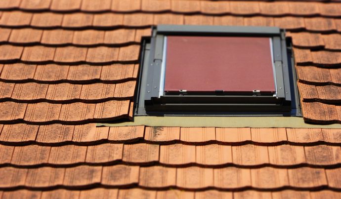 Insektendreck und Vogelkot auf Dachfenster entfernen