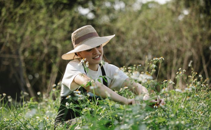 Japanische Gartenscheren - was macht sie so besonders?