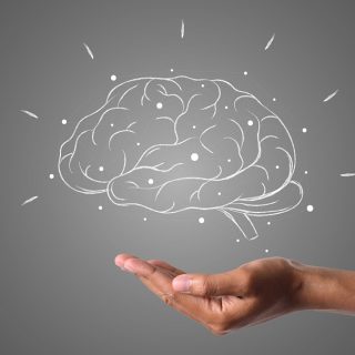 Konzentration steigern: Nährstoffe fürs Gehirn