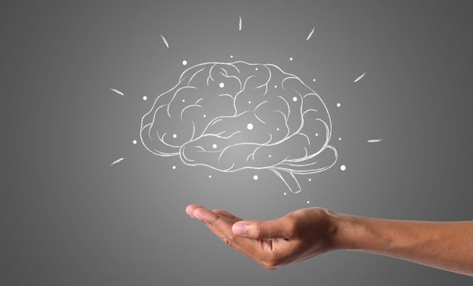 Konzentration steigern: Nährstoffe fürs Gehirn