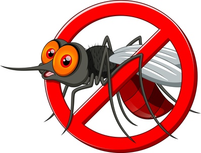 Natürlicher Insektenschutz: Diese Hausmittel helfen wirklich