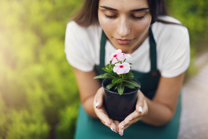 Pflanzenpflege - Worauf Sie achten sollten