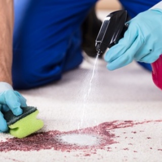 So werden Ihre Teppiche wieder sauber - Tipps und Tricks