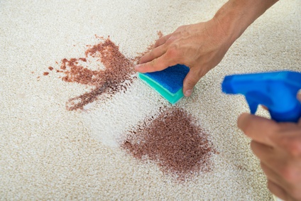 Teppich reinigen mit Hausmitteln